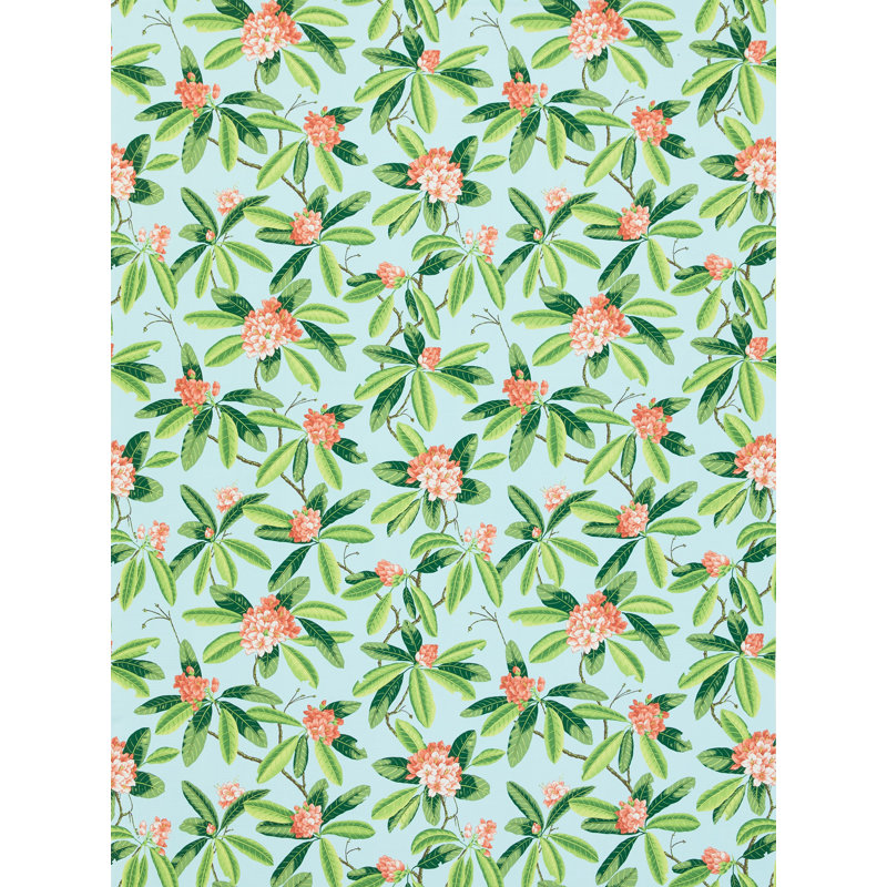 RHODODENDRON - OUTDOOR, Coral On Aqua