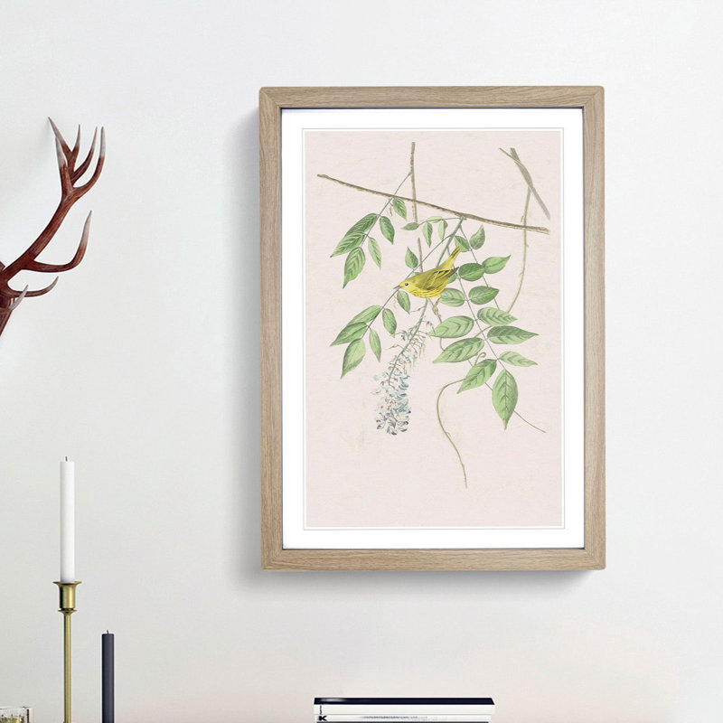 Blue Eyed Yellow Warbler by John Audubon - Picture Frame Painting Print, 65cm H x 48cm W x 2cm D, Oak Framed