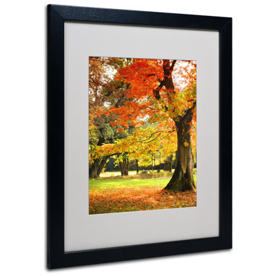 « of colors », reproduction de photo sur toile encadrée Alvares