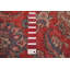 Tapis rouge Antalya 9 pi 2 po x 11 pi 10 po