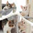 Neenah 65.4'' H Cat Tree