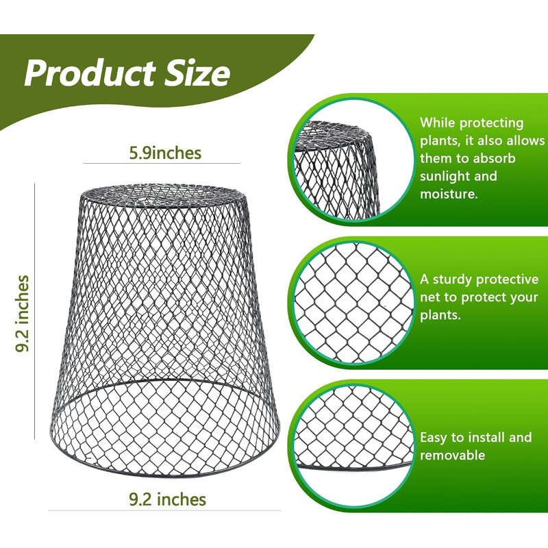 Protecteur de plantes cloche en fer, Paquet de 3