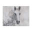 «Dapple Horse I» par Irena Orlov, impression sur toile-1169492912