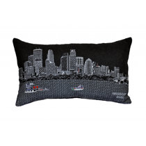 https://assets.wfcdn.com/im/36554320/resize-h210-w210%5Ecompr-r85/2226/222699825/Polyester+Throw+Pillow.jpg