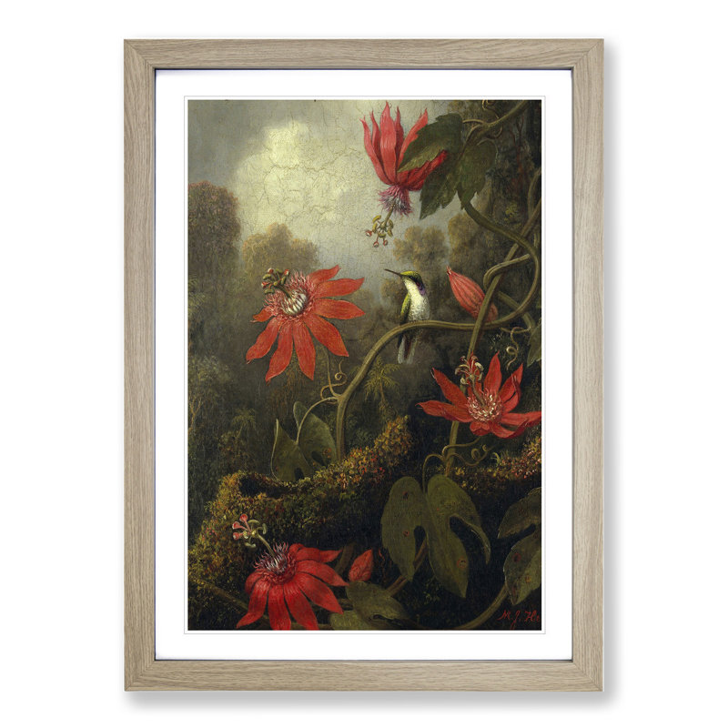 Hummingbird and Flowers by Martin Johnson Heade - Picture Frame Painting, 36cm H x 27cm W x 2cm D, Oak Framed