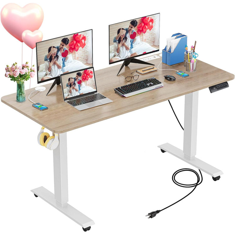 Kiaira 48" Electric Height Adjustable Standing Desk With 2 Usb Ports And 3 Power Outlets，2 Hooks, 4 Lockable Casters