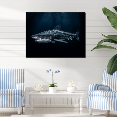 " Tiger Shark Territory II "