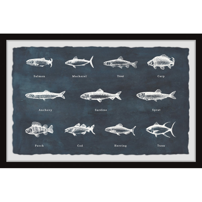 Deep-Sea Fishes in Blue 1 Piece Single Picture Frame Wall Art, 20cm H x 30cm W x 3.81cm D
