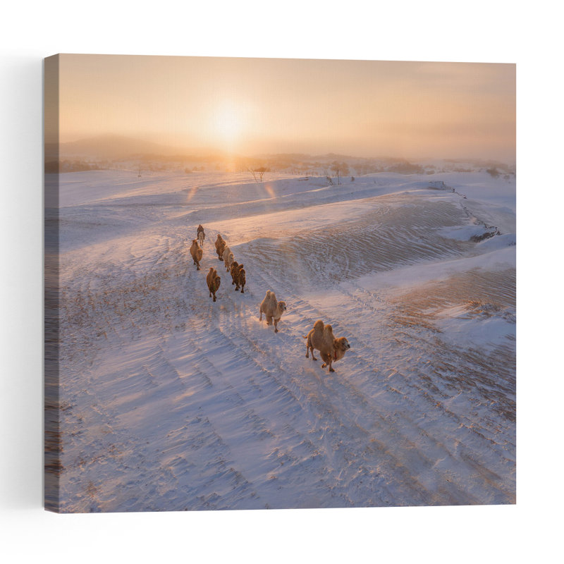 «Sunrise Desert Camels Abstract Contemporary Landscape Nature», reproduction d'art murale, H 24 po x l 24 po