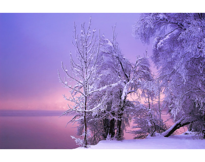 Wrapped Canvas Print, 60.96 cm H x 91.44 cm W