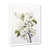 Cadre simple blanc