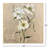 A New Bloom II Canvas