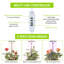 Lumières de culture à plein spectre DEL, paquet de 2, 9 lumières à intensité variable avec minuterie automatique et réglage de la hauteur pour petites plantes d'intérieur, blanc