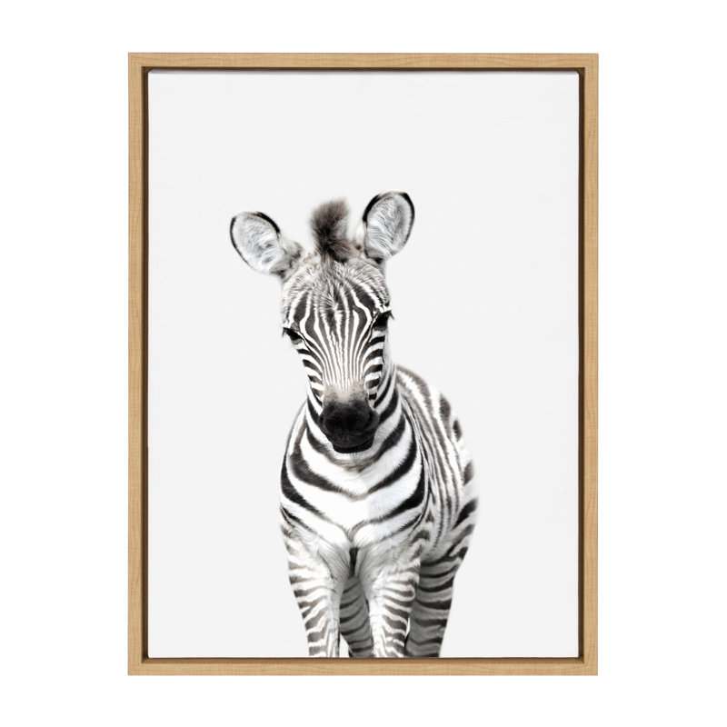 "Animal Studio Zebra" par Amy Peterson, reproduction d'art sur toile encadrée, H 24 po x l 18 po x P 1,63 po, Cadre naturel