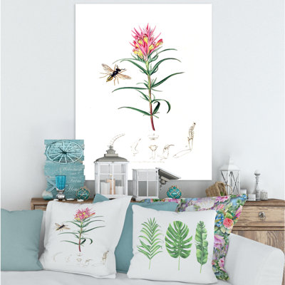 Insectes et plantes rétro I - peinture sur toile