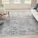 Quillin Oriental Machine Washable Rectangle 8' X 10' Polyester Area Rug in Gray