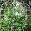 Treillis de jardin en métal et fer antirouille pour plantes d'escalade-238430634-253331933