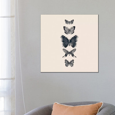 Inked Butterflies Beige Square 1 Piece Wrapped Canvas Wall Art