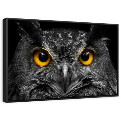 " Yellow Eyed Owl Wall Art "