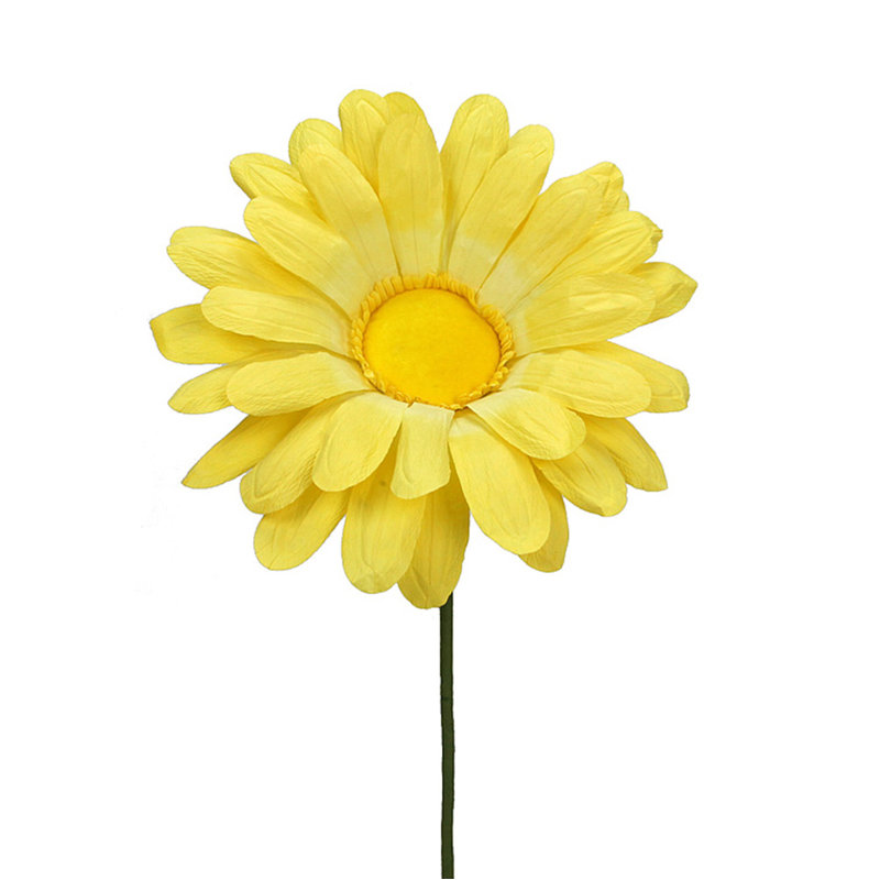 Daisy Arrangement, Lemon