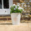 Dinardo Planter-2090435784-2090435789