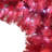 Lighted Christmas Tree