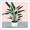 «Houseplant IV» par Victoria Borges - peinture encadrée
