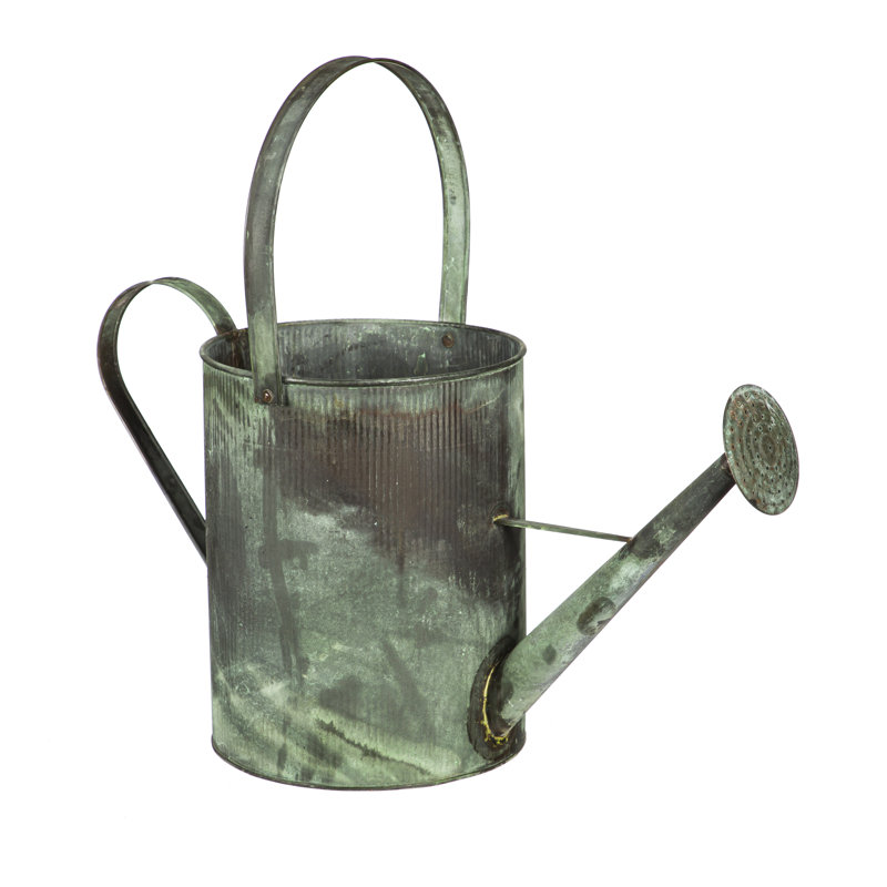 Arrosoir Eletto, Vert-de-gris