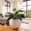 Pot Planter-348833670-348833669
