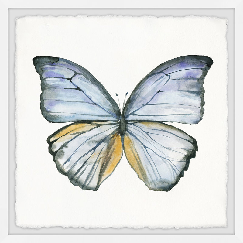 Blue Lace Wings by Marmont Hill - Single Picture Frame Print, 51cm x 51cm W