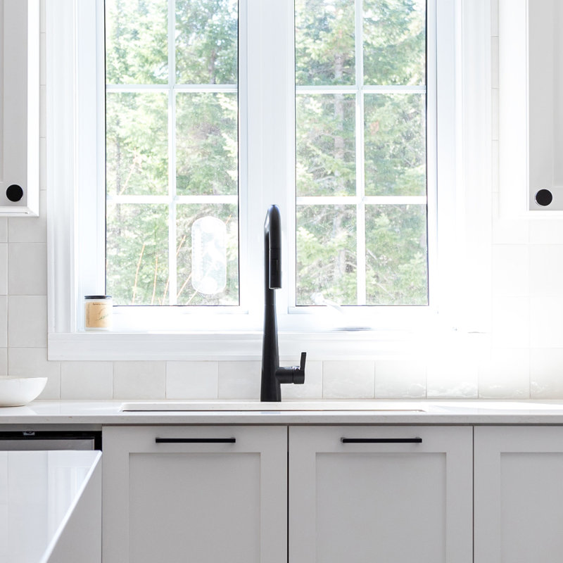 AGUA CANADA Master Pull Down Kitchen Faucet