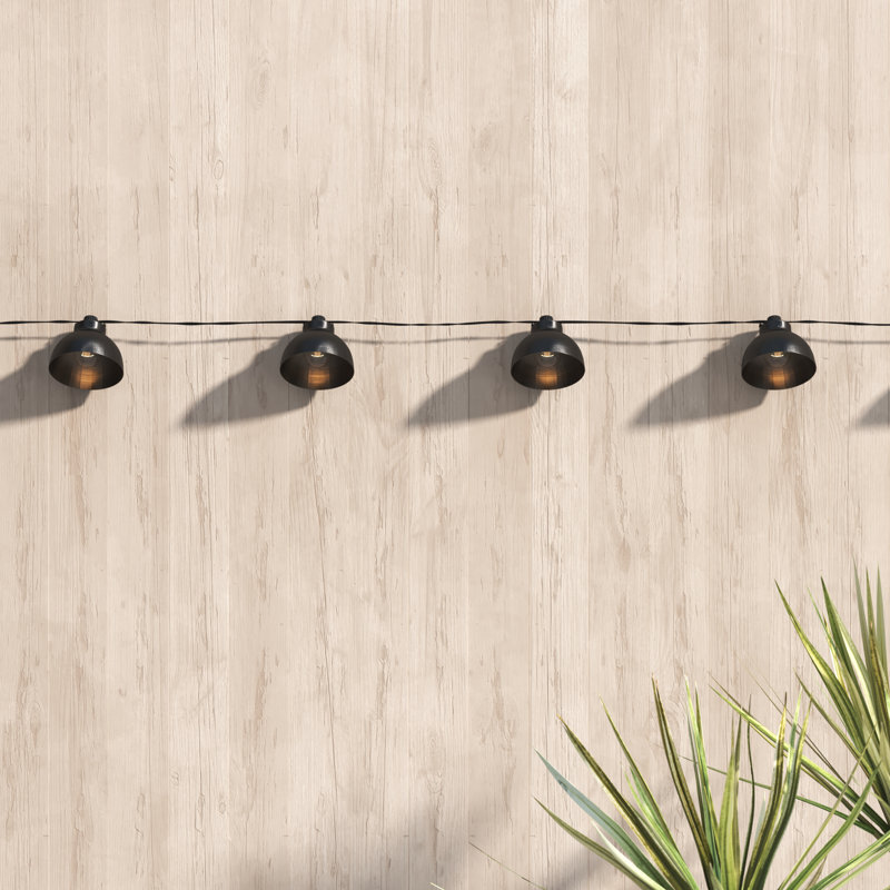 Rodolfo Outdoor 10 - Bulb 120'' Plug-in String Light
