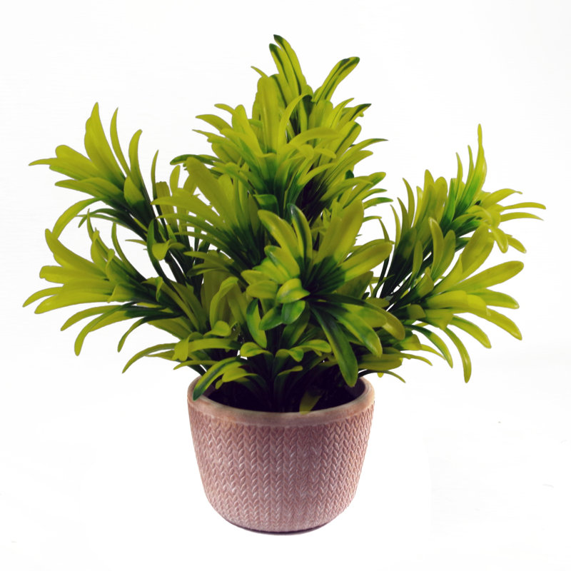 Anjeli 22cm Faux Foliage Plant in Terracotta Pot