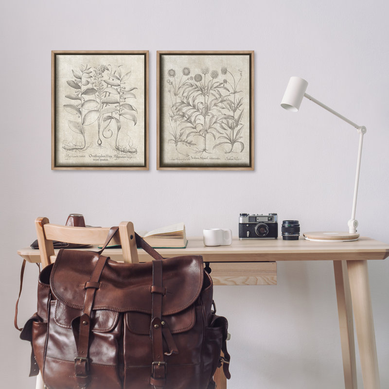 «Soft Botanical Study», ensemble de 2 toiles flottantes encadrées par lettres et doublures, Cadre flottant orme Montalcino