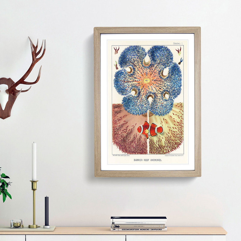 Great Barrier Reef Anemones I by W. Saville-Kent - Picture Frame Painting Print, Oak Framed, 48cm H x 36cm W x 2cm D
