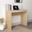Frogerth Computer Desk-1523479399
