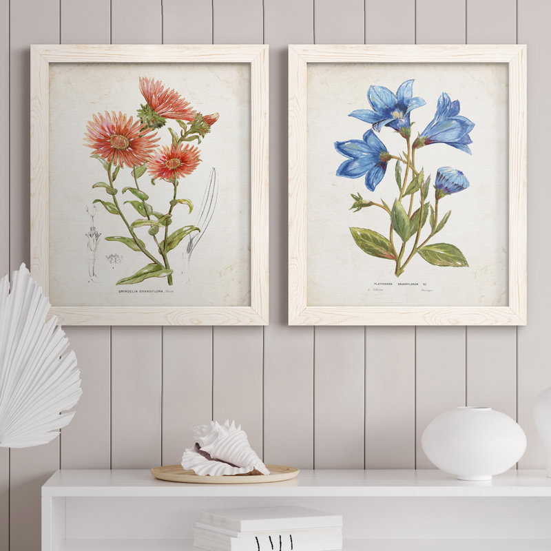 «Botanical I», ensemble de 2 reproductions d'art, H 20 po x l 17 po x P 1 po, Toile blanche encadrée, Pas de tapis