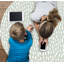 Ryelle Vinyl Machine Printed Area Rug-125208114
