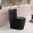  1.1/1.6 GPF Dual-Flush Elongated One-Piece Toilet with 17.13" ADA Comfort Seat Height, Ceramic Glazed Surface(Soft Close Seat Included), Matte Black-109583346
