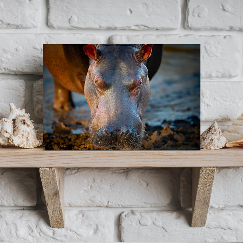 African Hippo Portrait Contemporary Wall Art Print, 30.48cm H x 45.72cm W