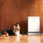 Levoit Vital Pet Pro Air Purifier