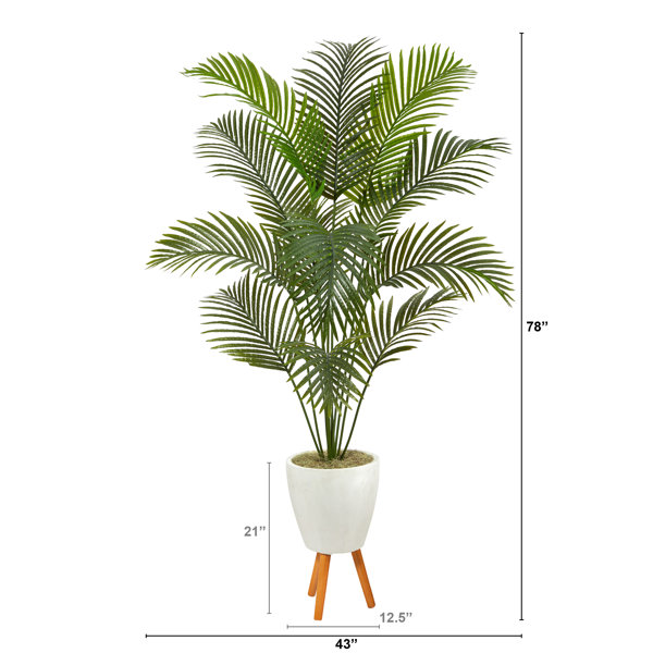 6' Artificial Paradise Palm with White Decorative Planterplanter