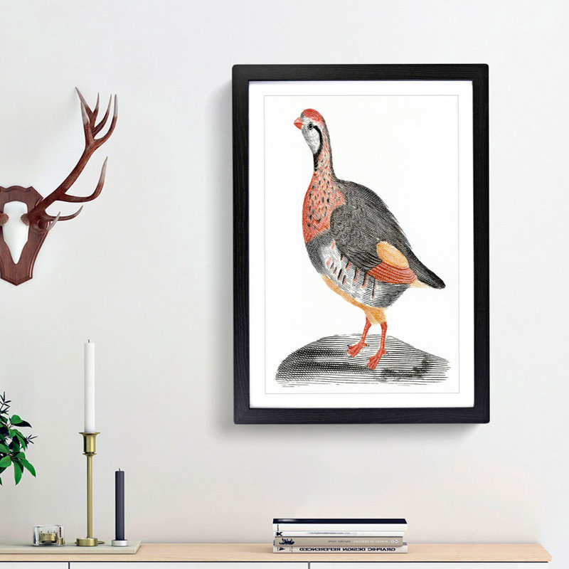 A Partridge by Johan Teyler - Single Picture Frame Painting, 33cm H x 24cm W x 2cm D, Black Framed