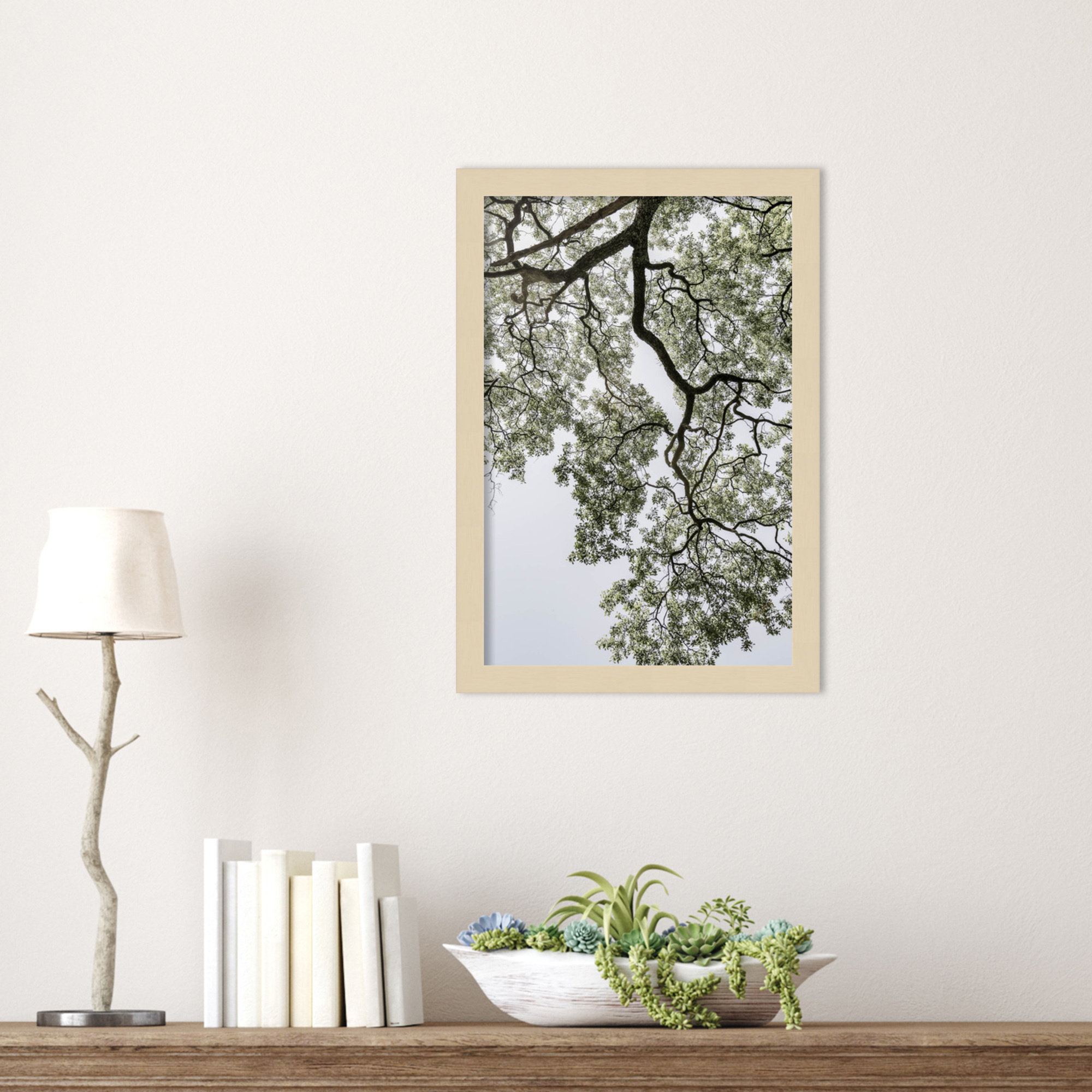 Coastal Forest by Shot by Clint Wood Framed Wall Art Print, Brown, 17" H x 12" W