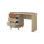 Computer Desk-2142320237