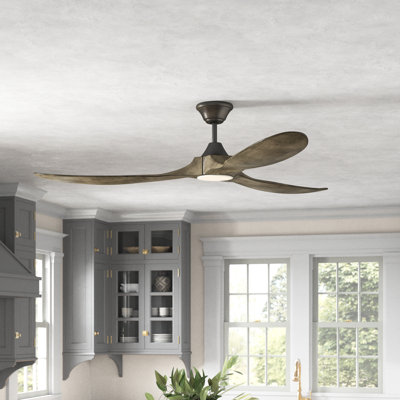 LED Downrod Ceiling Fan