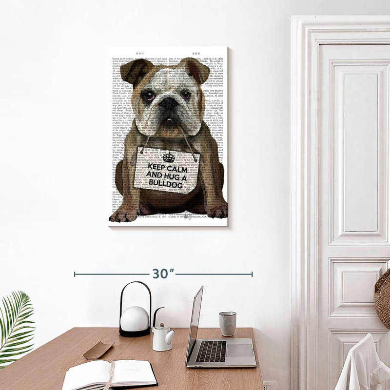 Bouledogue Brampt, H 30 po x l 20 po