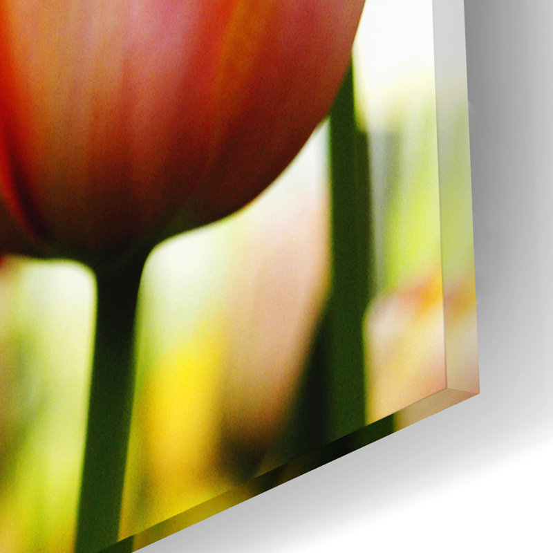 " Tulips " Print, 12" H x 16" W x 0.13" D