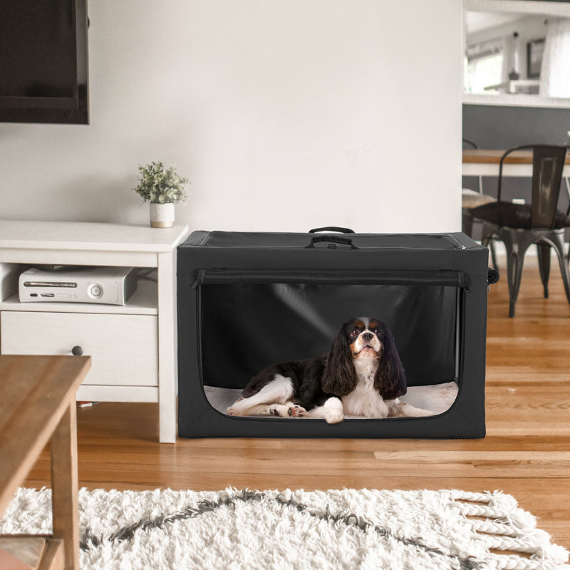 Cage pour chien Cozzi, Moyen (H 19 po x l 19,5 po x P 30 po), Noir