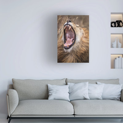 Bolog Jeffrey C. Sink Dental Check Canvas Art